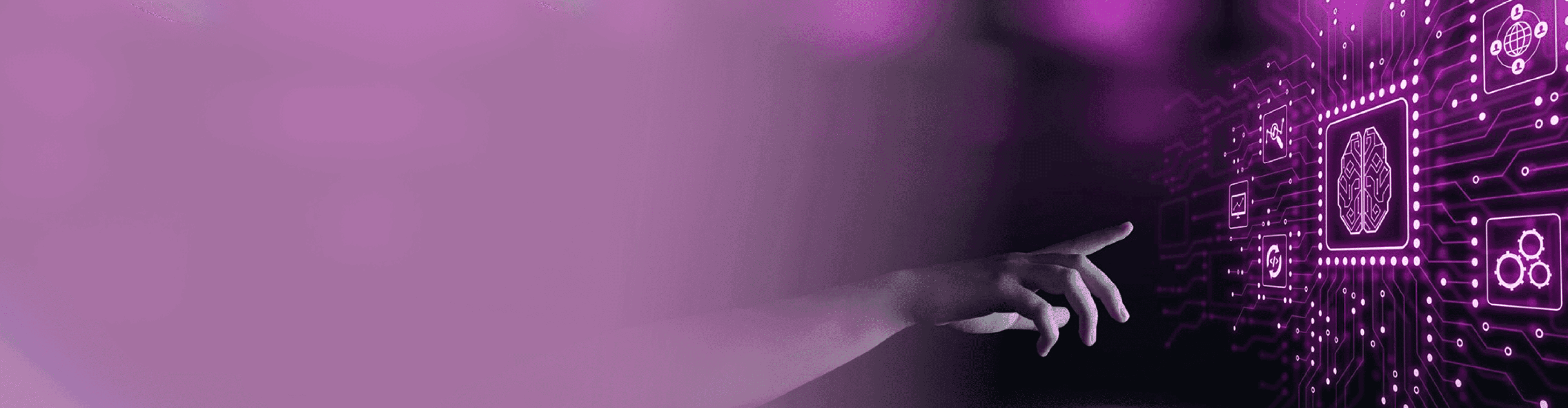 Provedores de Solução