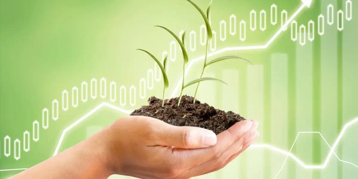 Agronegócio: 5 movimentos definirão o futuro do setor