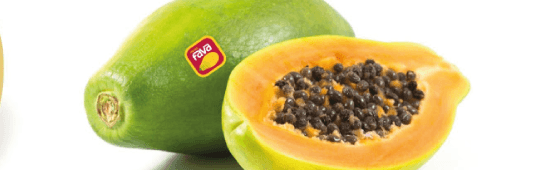 Frutas Fava