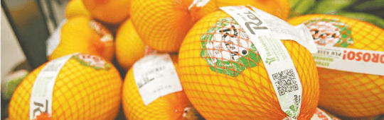 Itaueira Agropecuária
